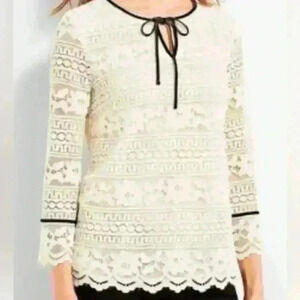 Gorgeous Talbots lace top with black velvet trim